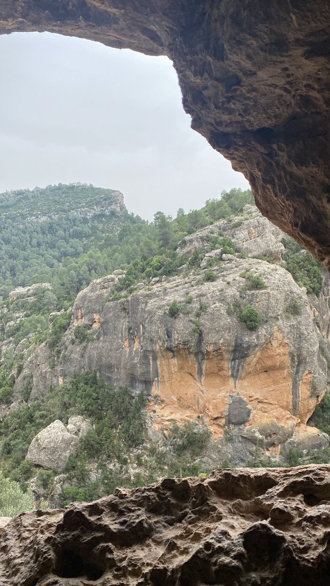 Sandra León tweet media