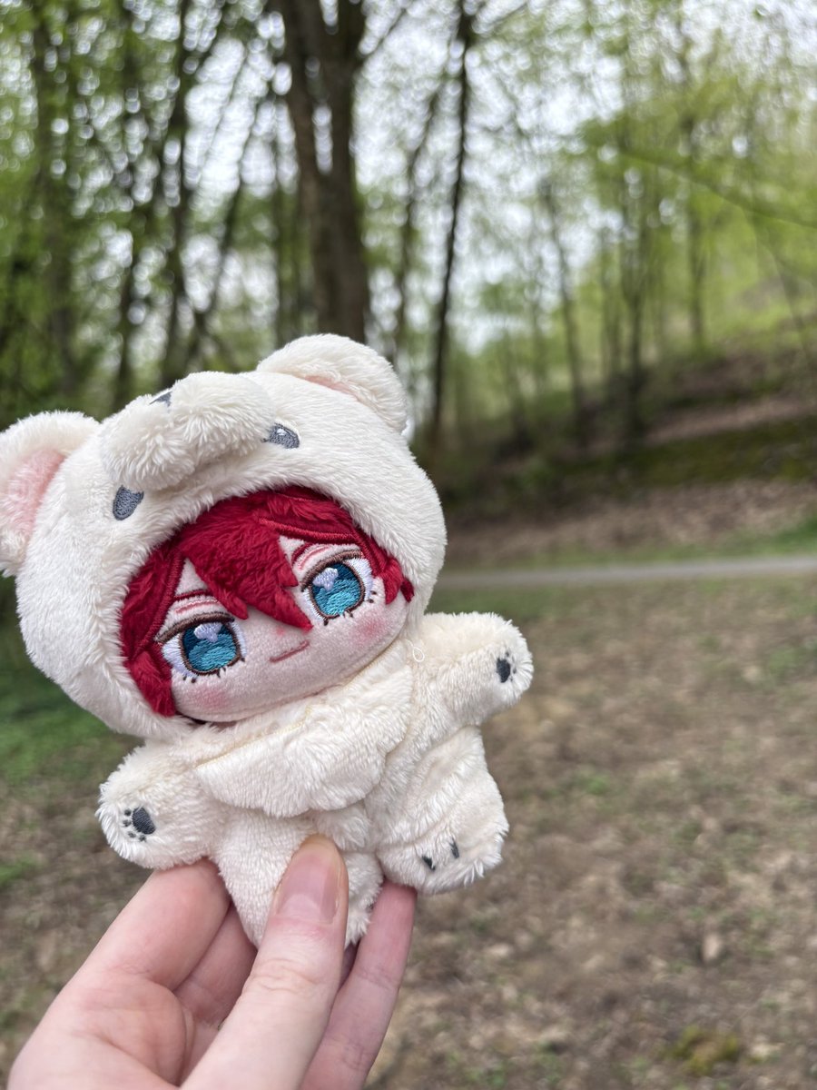 noé 🎰🐱 tweet media