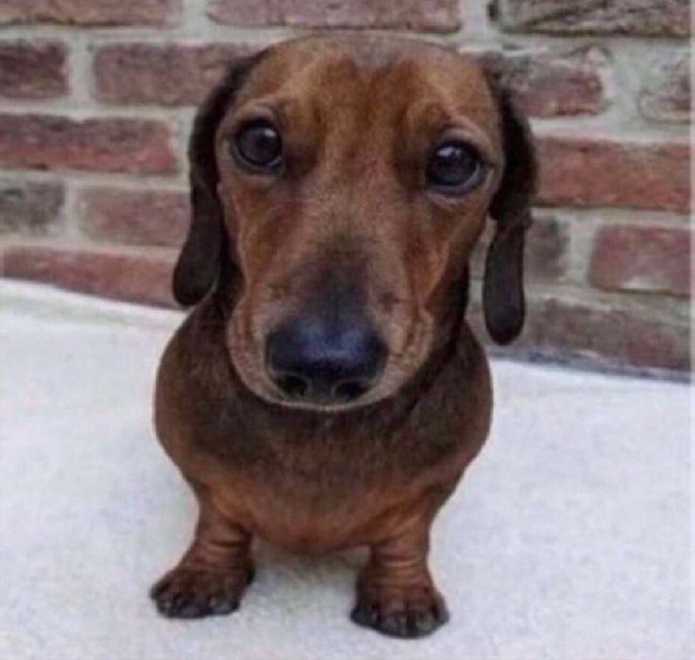 chahy | portal odessa a'zion tweet media