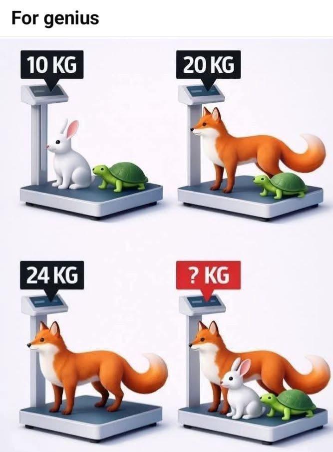 Hania Batool tweet media