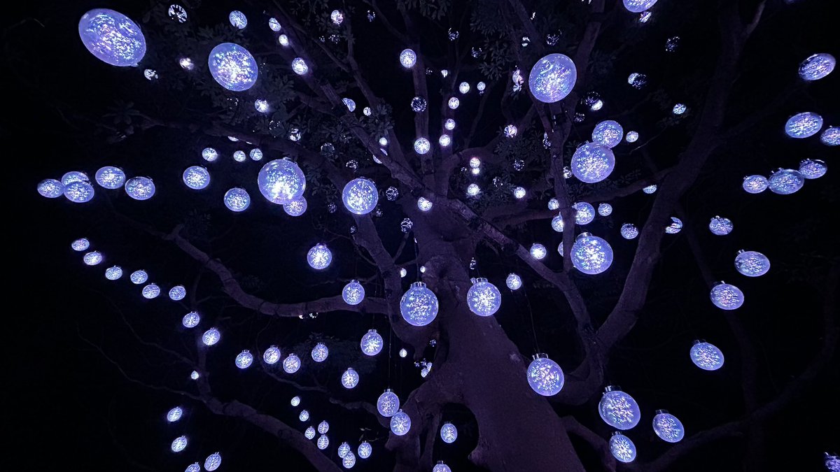 chobinium tweet media