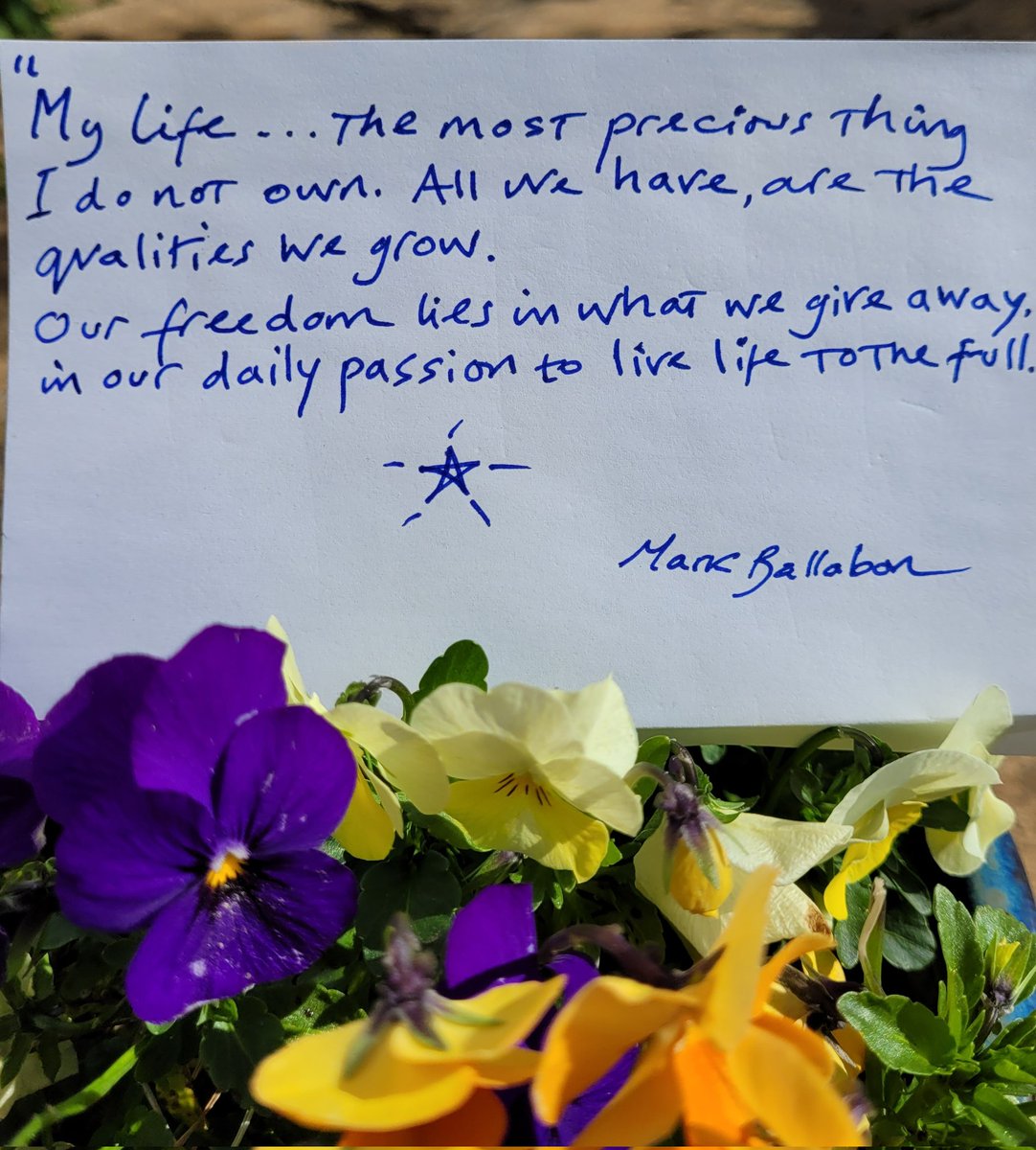 MarkBallabon's tweet image. My life... the most precious thing I do not own.

#philosophyquotes #educators #forestschool #teachers #ClimateEmergency #home