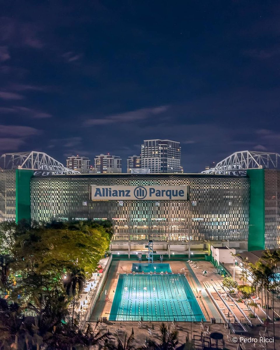 Portal do Palestra | Palmeiras tweet media