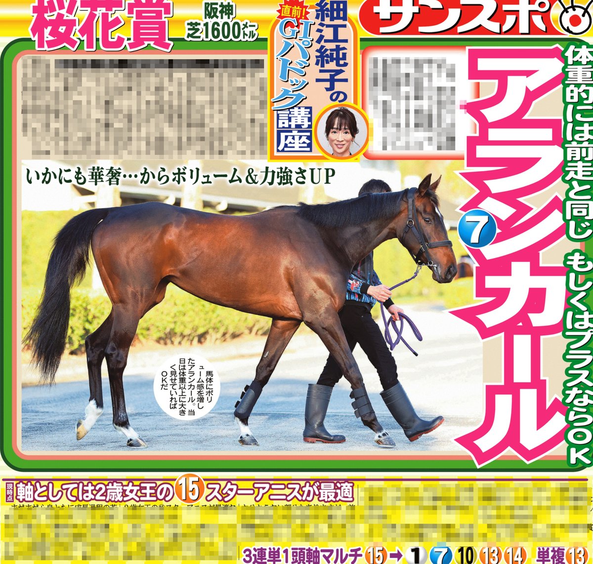 本日のサンスポ #桜花賞 予想 1面🐎板津雄志記者は伏兵 #ジッピー