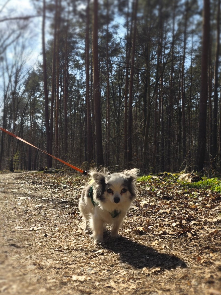 Puk 📯 tweet media