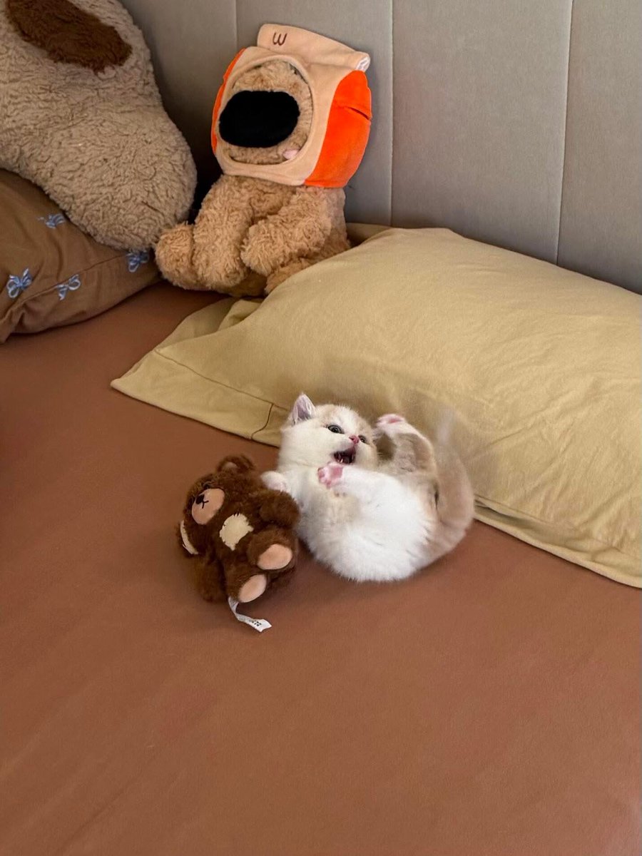 Lyrics Lab tweet media