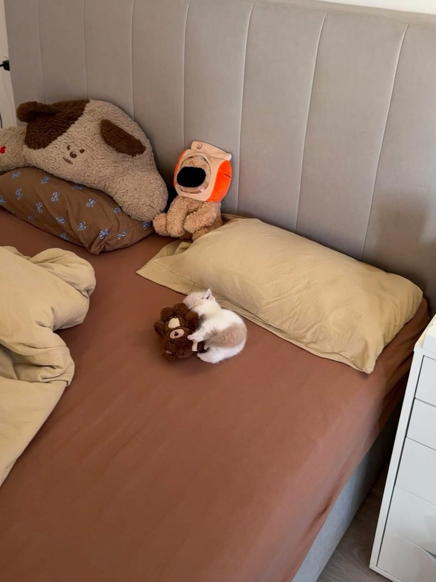 Lyrics Lab tweet media