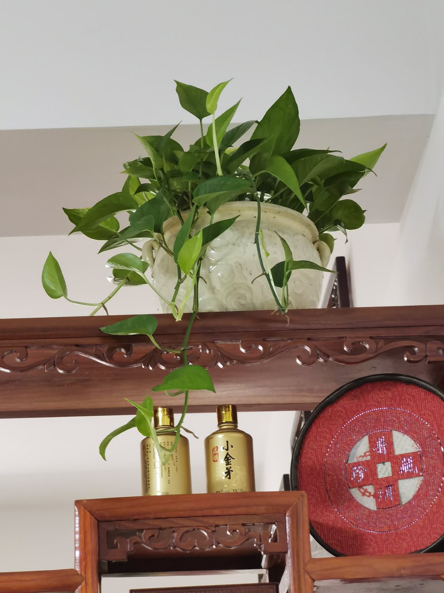 linda livadas tweet media