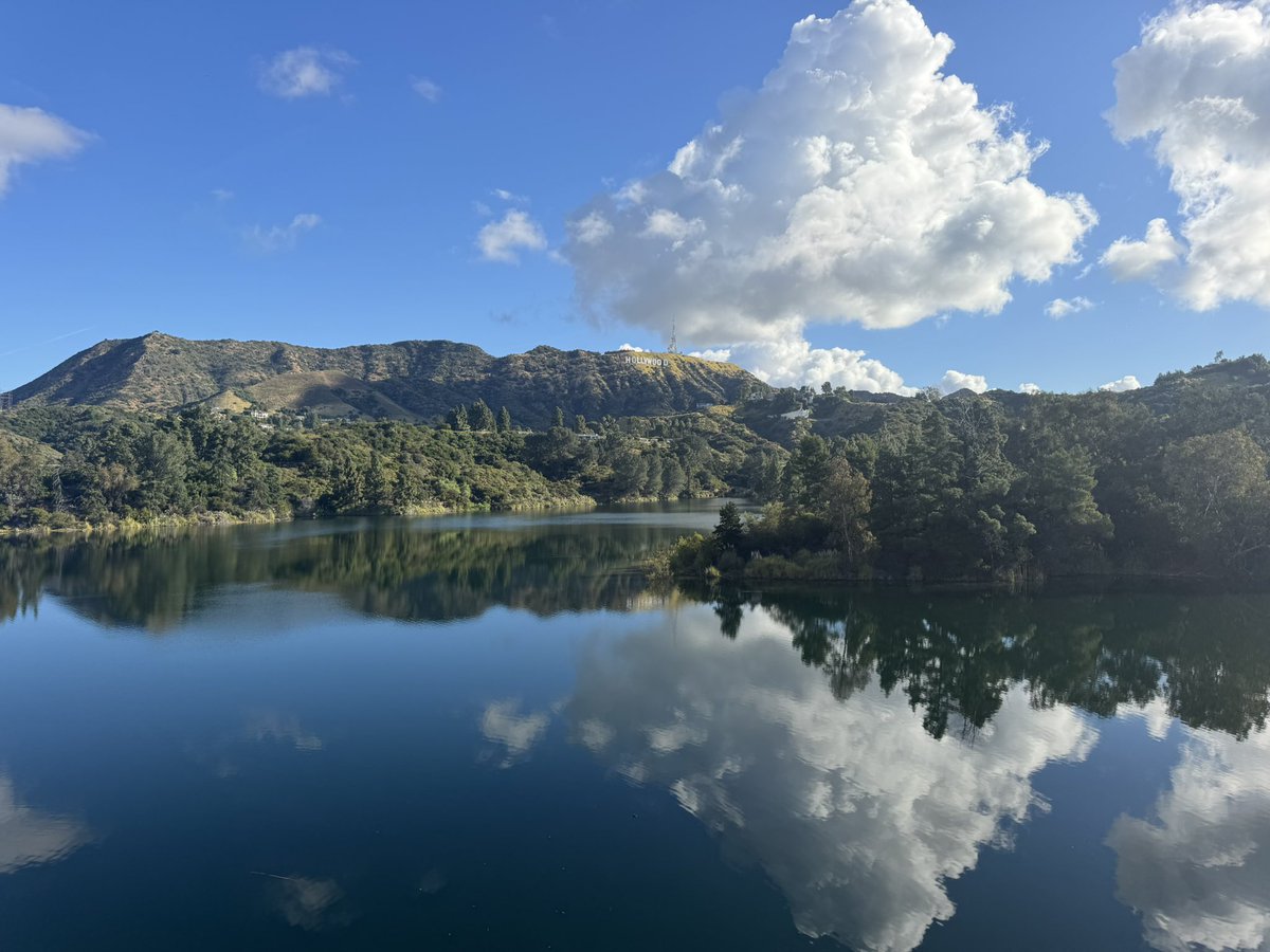 UNCLE 🏴‍☠️ EDDIE 🫵😹 tweet media