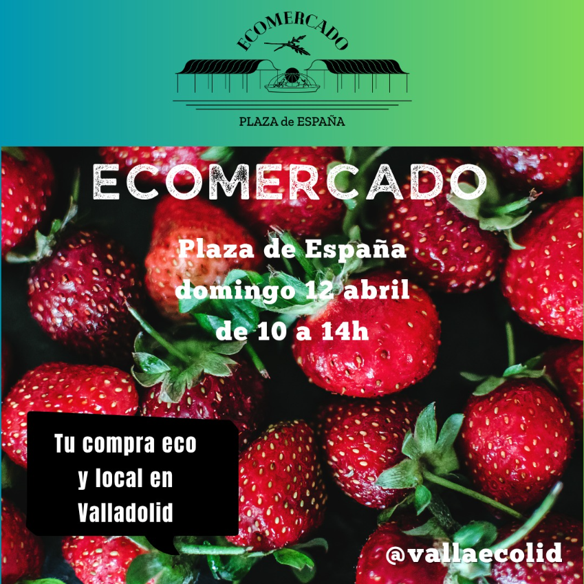 AuvasaVLL's tweet photo. 📢 Acude a disfrutar de tus compras en el #EcoMercado 👉 #MejorEnBUS 🚌
📌 #PlazaEspaña
⏰ Hoy de 10:00 a 14:00 horas
🚍 Líneas con paradas cercana: 1, 2, 3, 4, 6, 7, 8, 9, 18 y 19 https://t.co/uR4kFxlPzs