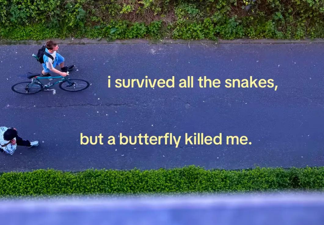 Libriscent tweet media