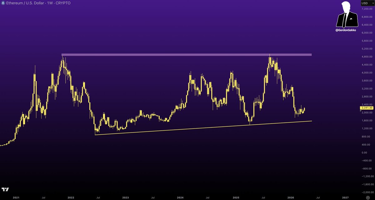 Gordon 🐂 tweet media