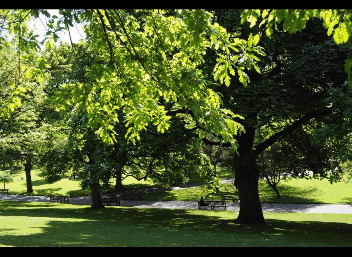 eri_y's tweet image. 自分の言葉と姿勢を振り返って客観視する
#thistle