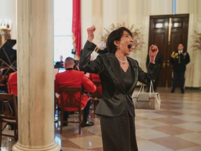 枫糖小猫 tweet media