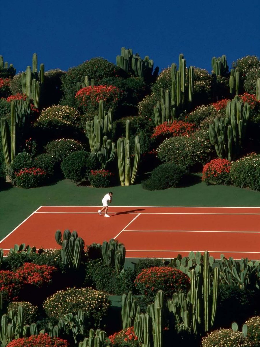 HOUSE LOVERS tweet media