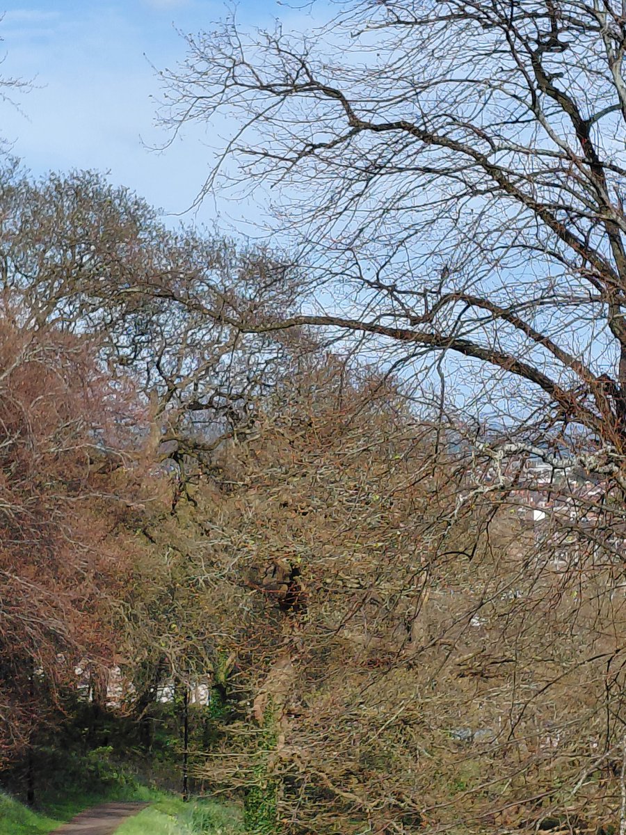 Dylan Emlyn Thomas tweet media