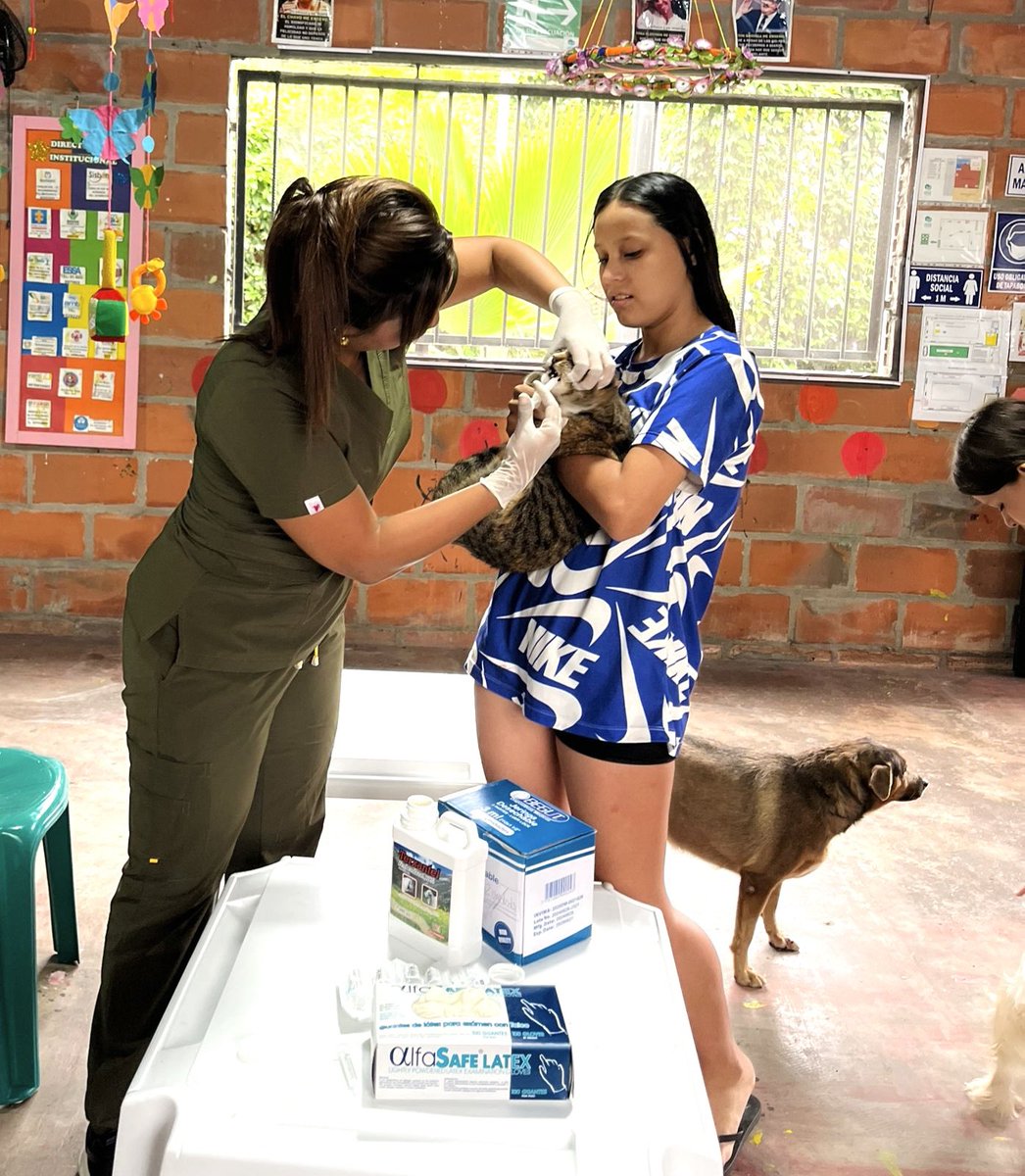 OscaravBga's tweet photo. Acompañamos a la comunidad del barrio Claveriano del Norte en una jornada de desparasitación de sus animalitos, brindando también orientación psicológica y jurídica.
Seguimos trabajando por el bienestar integral de las familias y sus mascotas 🐾 https://t.co/PkjpxbOoRc