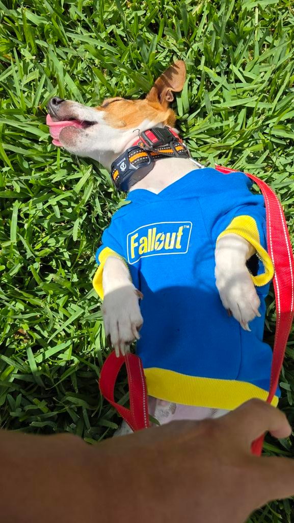 Vrexa of Vault127 tweet media