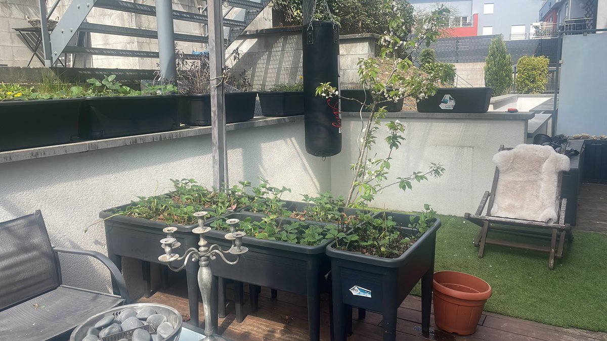 Delphine tweet media