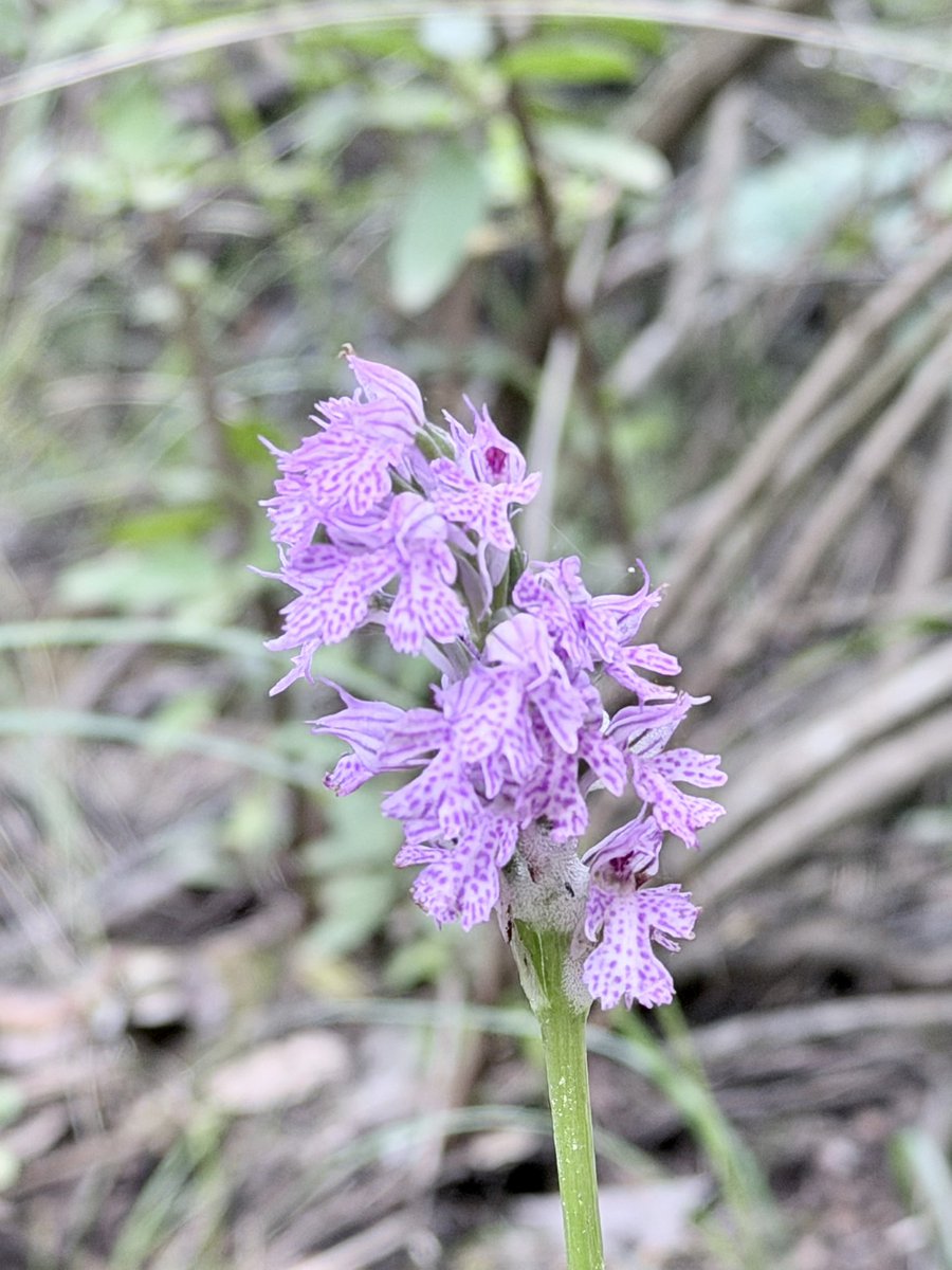 Eran Toch tweet media