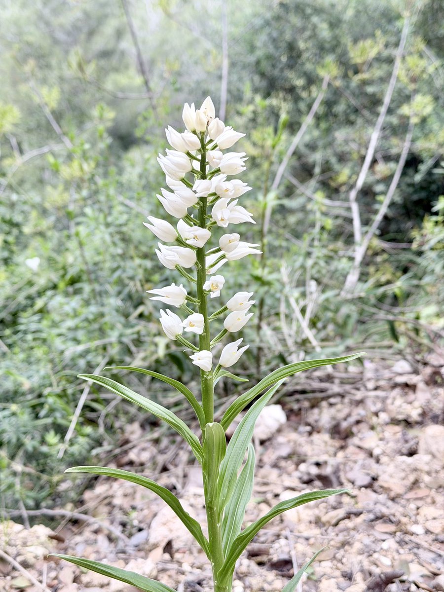 Eran Toch tweet media