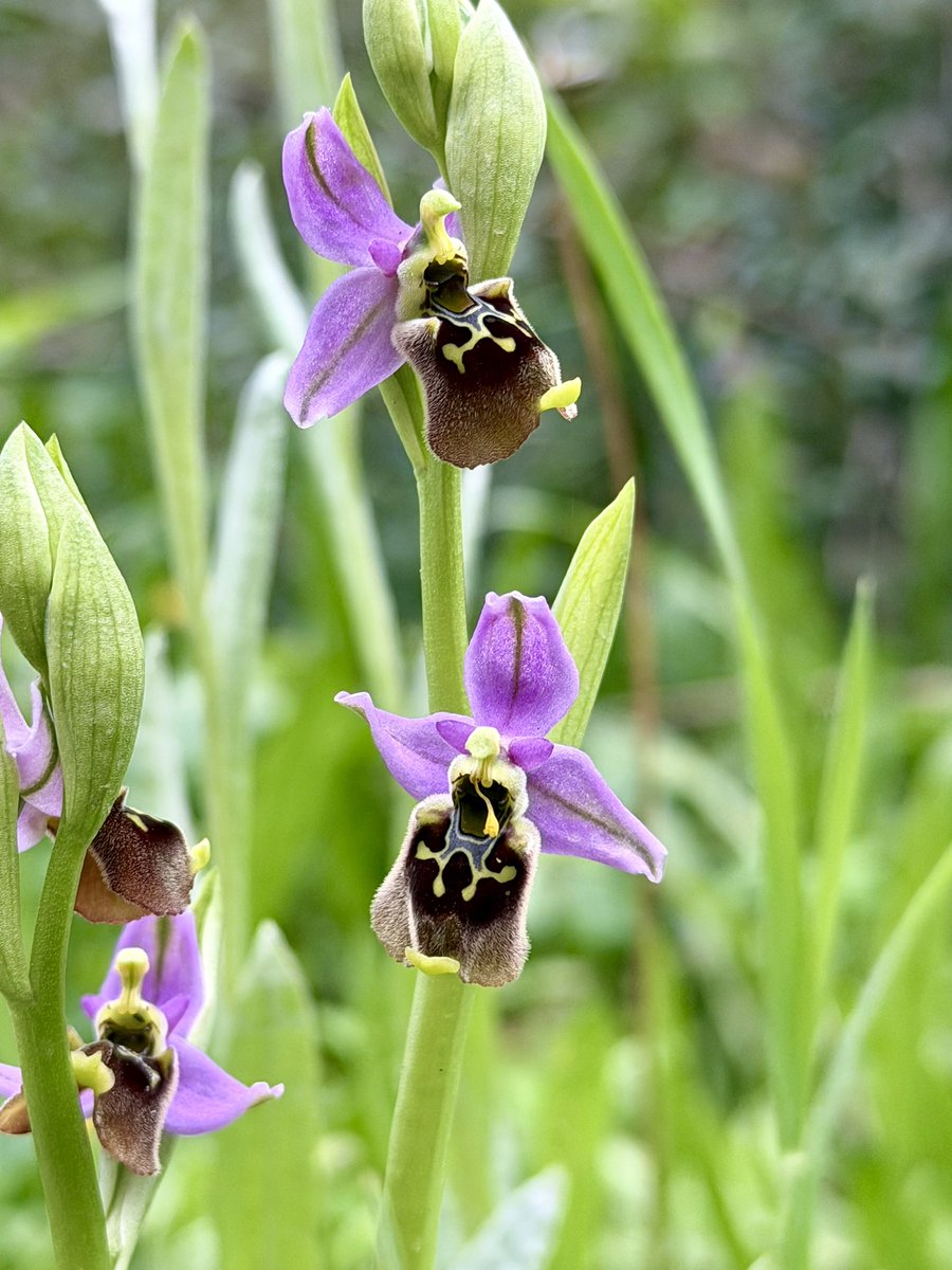 Eran Toch tweet media