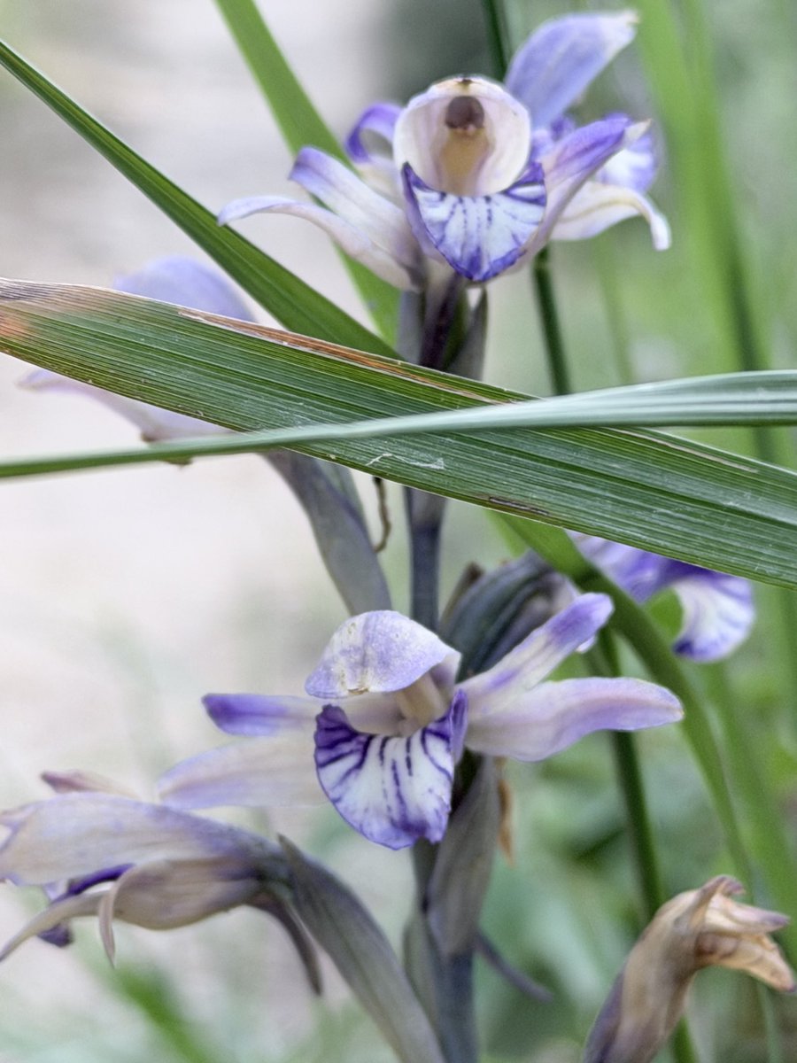 Eran Toch tweet media