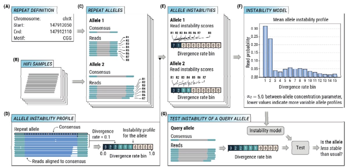 antisense. tweet media