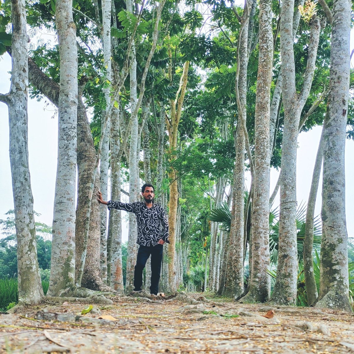 imdadulam7's tweet photo. #NewProfilePic https://t.co/9AtYV9Hx8K