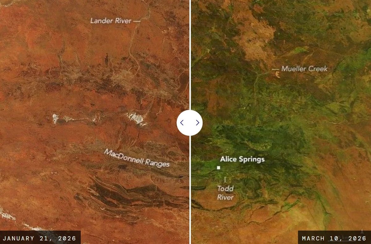 Epic Maps 🗺️ tweet media