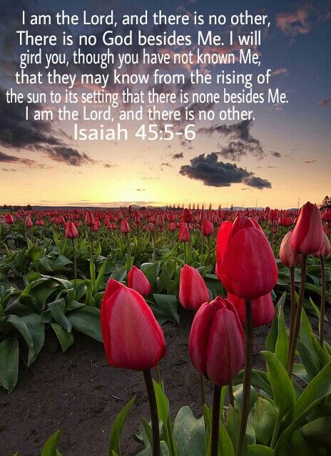 Wendy W ✝️💐🌿🌷🌿🌷🌿🌷 tweet media