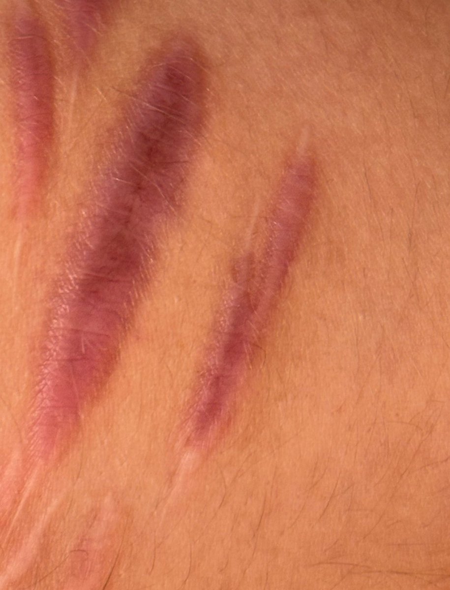 ⁺‧₊˚ ཐི⋆Niko⋆ཋྀ ˚₊‧⁺ tweet media