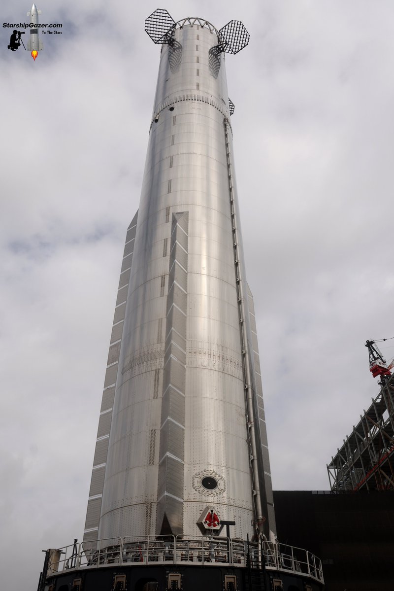 Starship Gazer tweet media