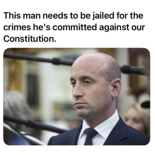 Brown Eyed Susan tweet media