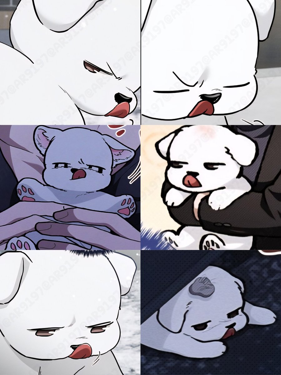 𝙰𝚕𝚎˚ʚ 𑣲 ɞ˚🌻 tweet media