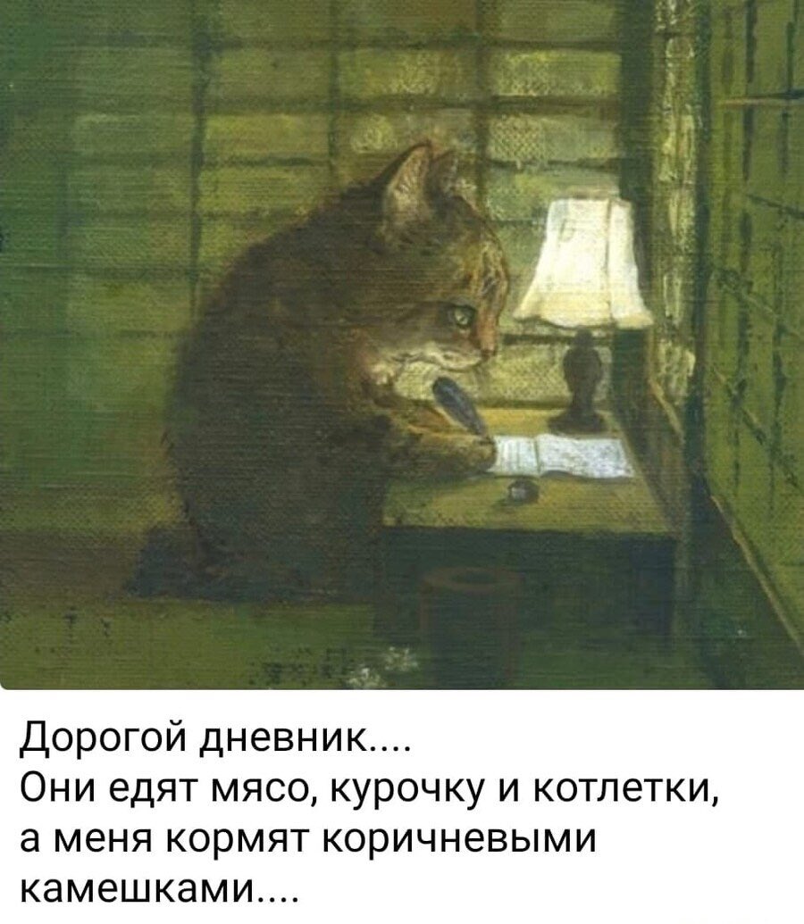 🍊이에스 tweet media