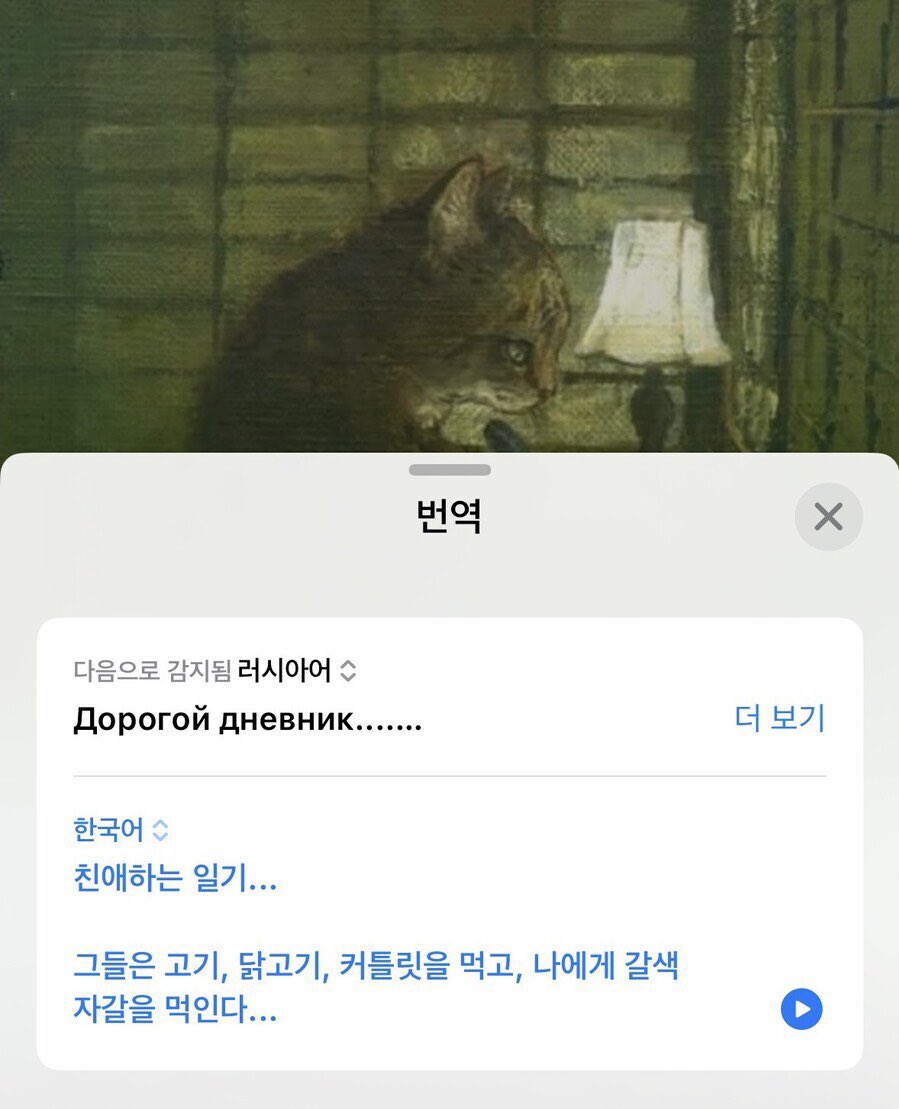 🍊이에스 tweet media