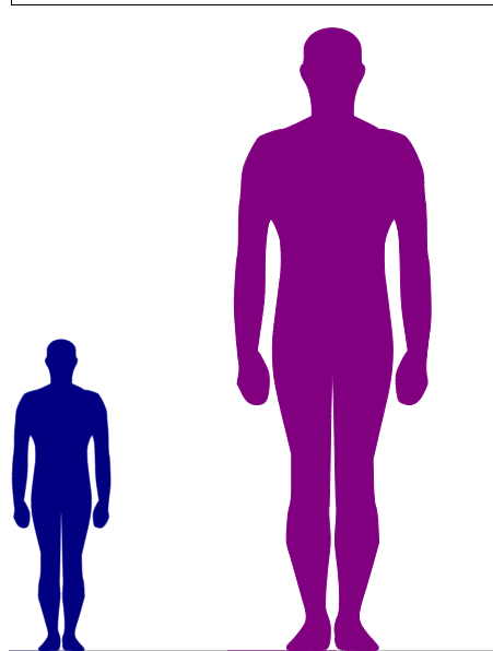 Trahaltvoumat tweet media