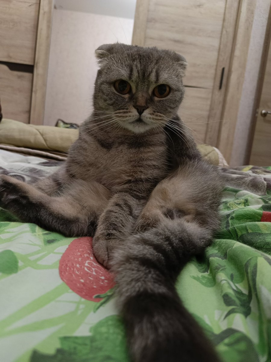 😼Modesto😼 tweet media