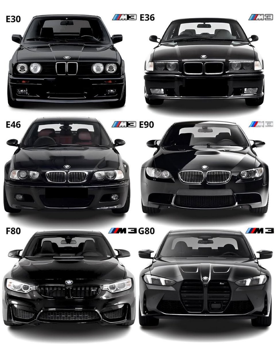 Hermaine M tweet media