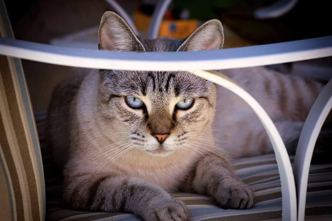 TheRealThelmaJohnson tweet media