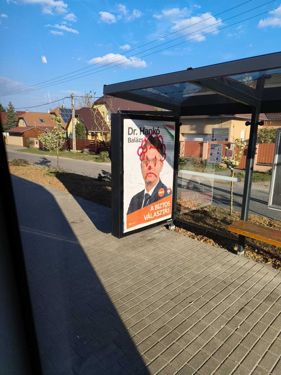 macskakert tweet media