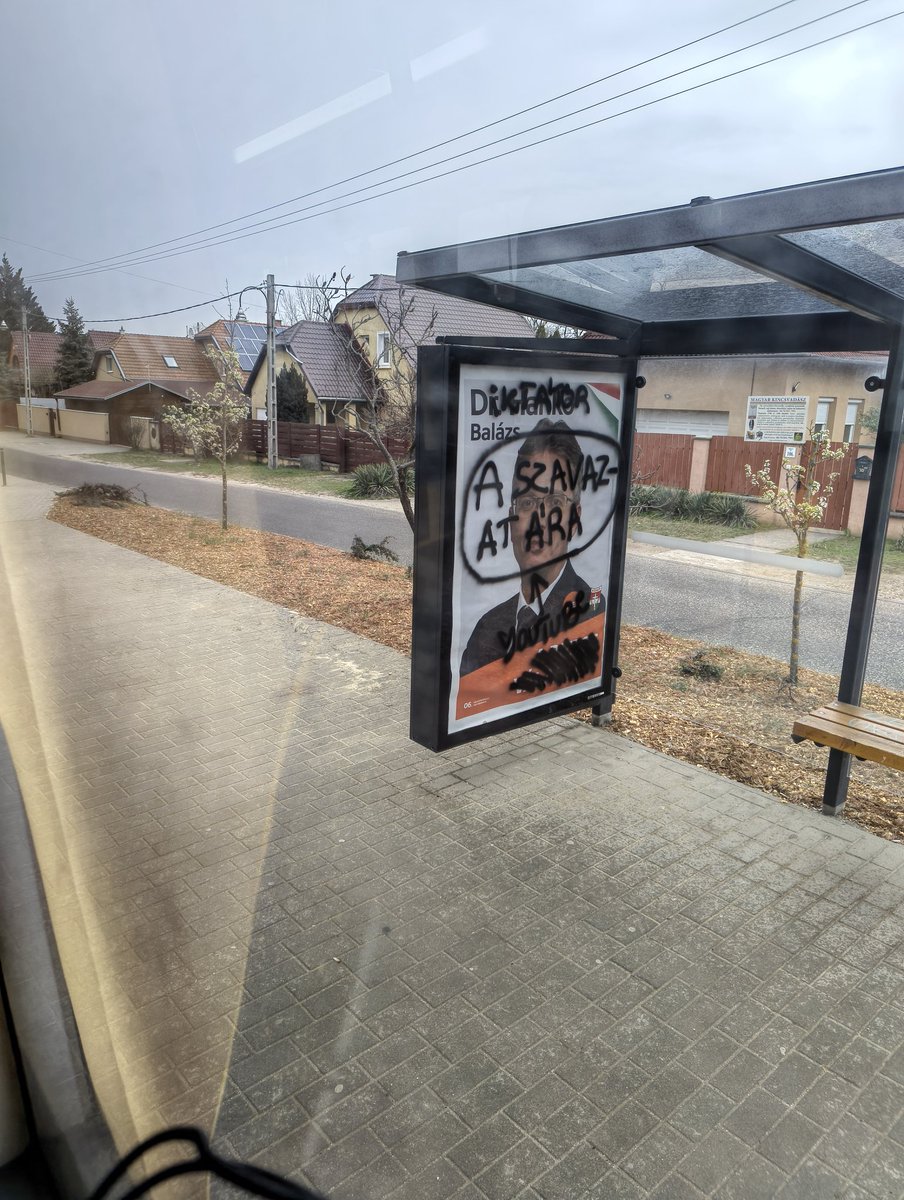 macskakert tweet media