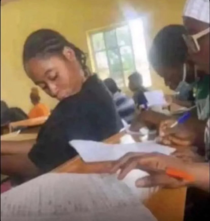 THE CITYCAMPUS tweet media