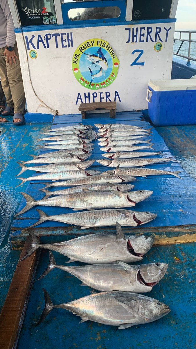 jasonhalim's tweet photo. April fishing https://t.co/3MHtIiGIG7