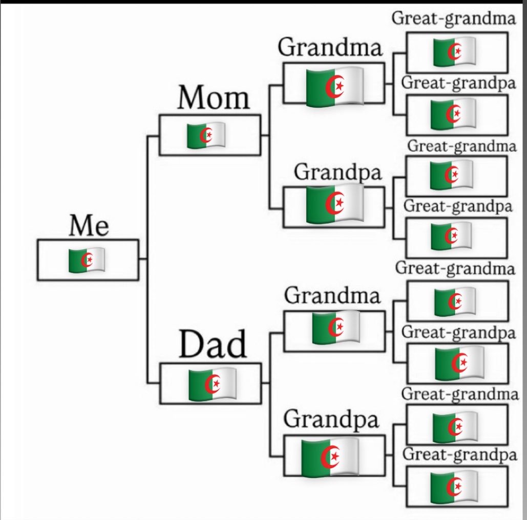 𝒾𝓃ℯ𝓈 🇩🇿 tweet media