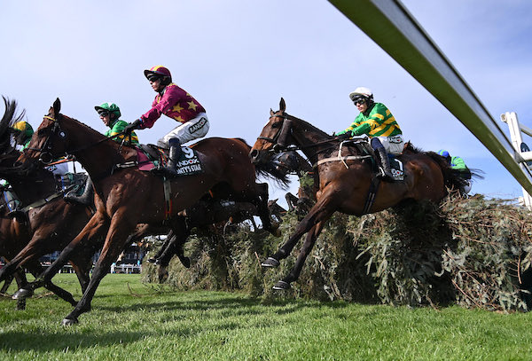 Willie Mullins tweet media