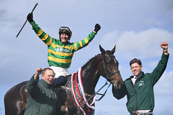 Willie Mullins tweet media