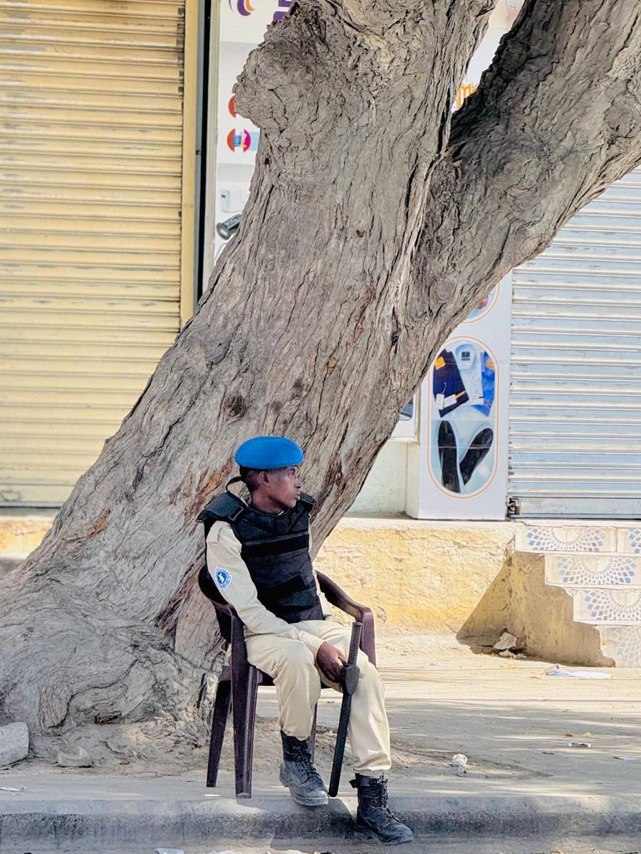 Amiin Maحammed Aw Cali tweet media