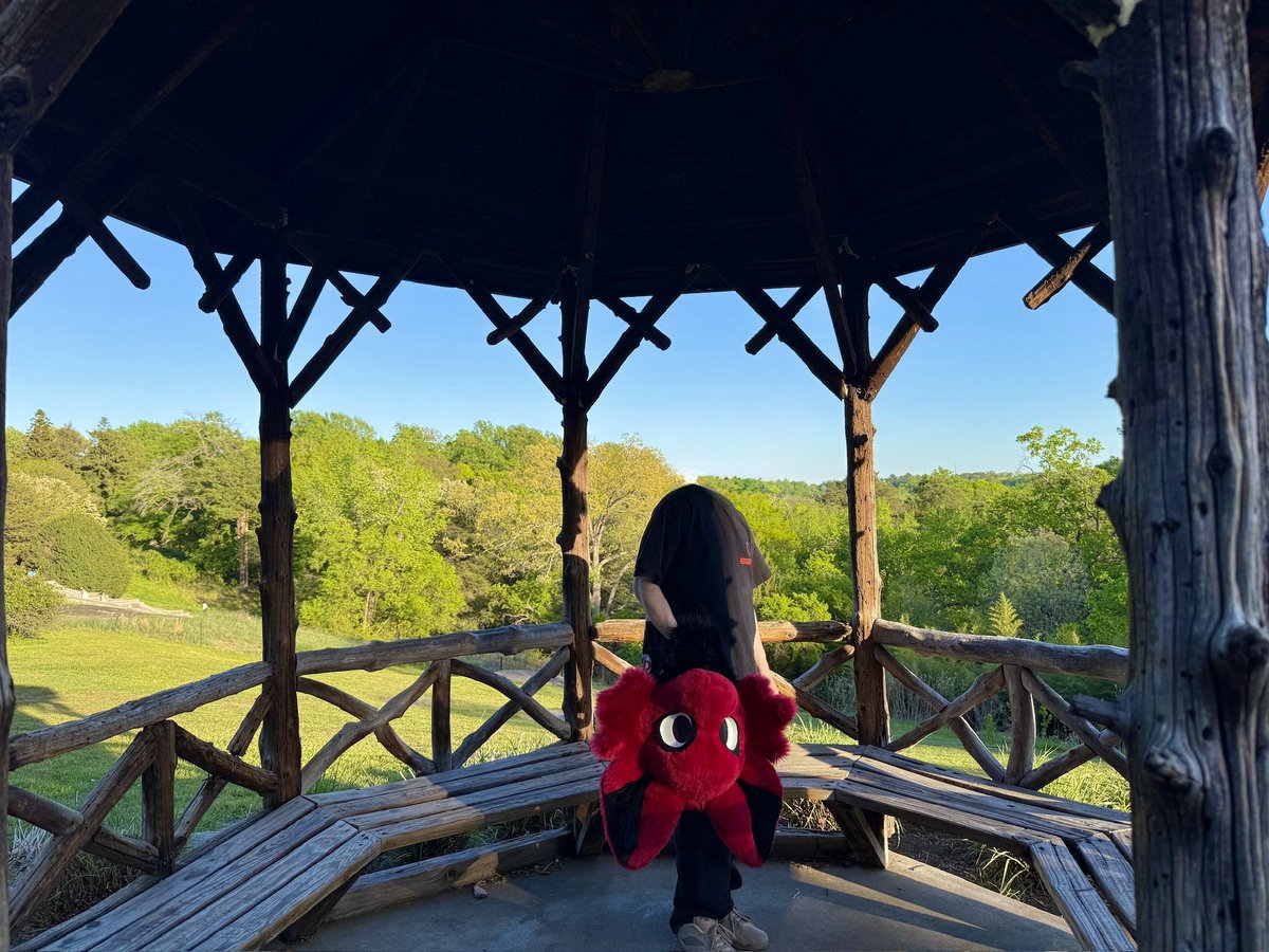 KN🪢WT tweet media